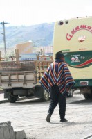 /album/galerie-de-photos-guamote/img-8742-jpg/