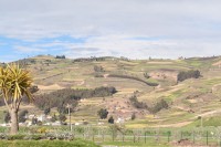 /album/train-des-andes/img-8646-jpg/