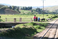 /album/train-des-andes/img-8691-jpg/