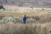 /album/train-des-andes/img-8750-jpg/