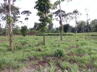 /album/route-de-patate/a100-0937-jpg/