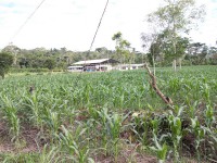 /album/route-de-patate/a100-0940-jpg/