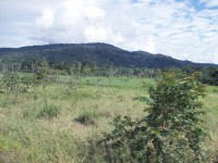 /album/route-de-patate/a100-0954-jpg/