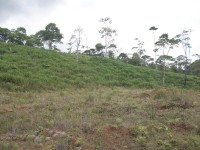 /album/route-de-patate/a100-0959-jpg/