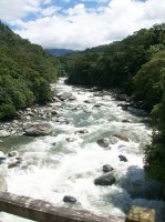 /album/route-de-patate/a100-0974-jpg/