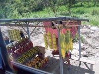 /album/route-de-patate/a100-0975-jpg/