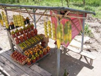 /album/route-de-patate/a100-0976-jpg/