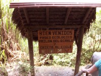 /album/chaudron-du-diable/a100-0983-jpg/