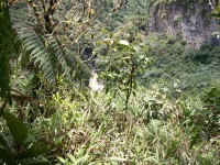 /album/chaudron-du-diable/a100-0984-jpg/