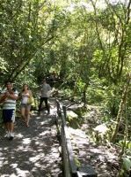 /album/chaudron-du-diable/a100-0985-jpg/