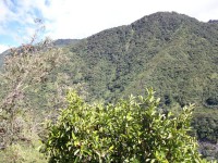 /album/petit-tour-en-nacelle-au-dessus-du-vide/a100-1008-jpg/