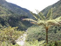 /album/volcan-tungurahua/a100-0978-jpg/