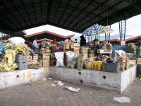 /album/marche-dembato/a100-1066-jpg/