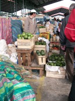 /album/marche-dembato/a100-1067-jpg/