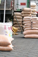 /album/marche-dembato/img-8481-jpg/