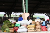 /album/marche-dembato/img-8488-jpg/