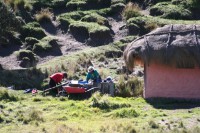 /album/restaurant-chimborazo/img-8566-jpg/