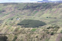 /album/riobomba/img-8499-jpg/