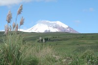 /album/volcan-chimborazo/img-8512-jpg/